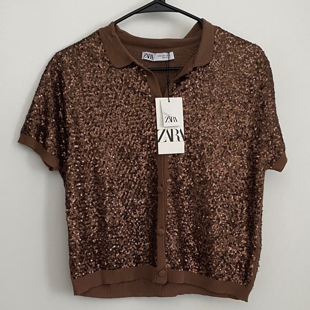 Zara brown sequin button up top